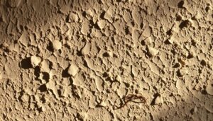 A close-up view of a textured plaster wall, its surface blistered and bubbling, revealing the layers of paint beneath. Warm, indirect lighting casts soft shadows, accentuating the irregular, organic patterns. The plaster has a weathered, aged appearance, with subtle cracks and imperfections adding to the sense of deterioration. The overall mood is one of subtle decay, inviting the viewer to examine the details of the damaged surface and consider the necessary steps for proper repair.